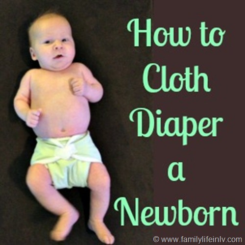"Cloth Diaper" "Cloth Diapering a Newborn" "Using Cloth on Your Newborn" "Prefolds and Covers" "All in One Newborn Diapers" "Pocket Newborn Diapers" "Thirsties" "Bumkins" 