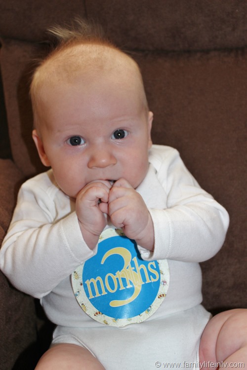 "monthly baby stickers" "Baby" "Newborn" "3 month old" "3 month milestones"