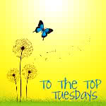 To The Top Tuesday