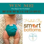 Smart Bottoms Smart One 3.0 AIO Cloth Diaper #Giveaway