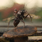 "Ant-Man Movie" "Marvel's Ant-Man" "Paul Rudd Ant Man" "Ant Man" "Ant-Man Movie Review"